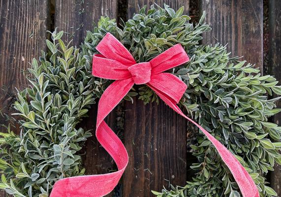 November-December Boxwood Wreath