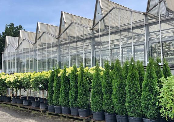 CAD Shrubs 3