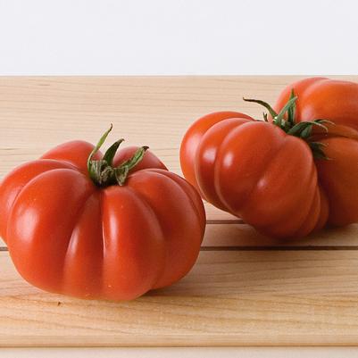 Tomato Costoluto Genovese