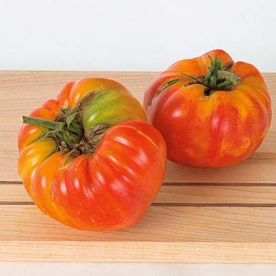 Tomato Striped German