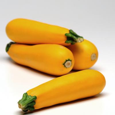 Zucchini Easy Pick Gold